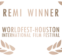 Remi Award WorldFest Houston