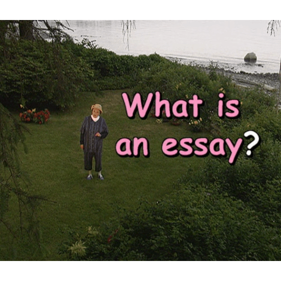 what-is-an-essay-and-how-to-get-started-cozy-grammar