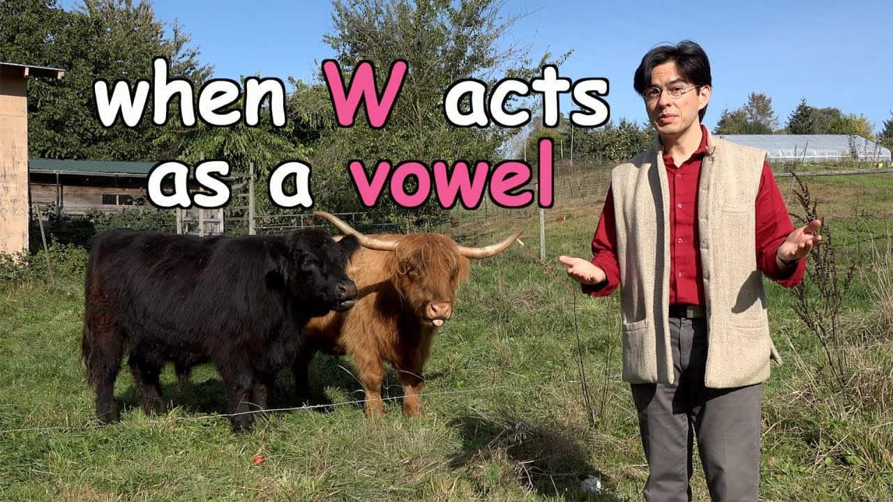 Is W a Vowel? Or a Consonant? Or Both? – Ask Cozy Grammar