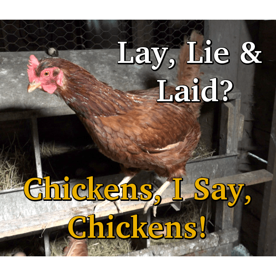 What is the Difference between Lay, Lie, and Laid? – Cozy Grammar