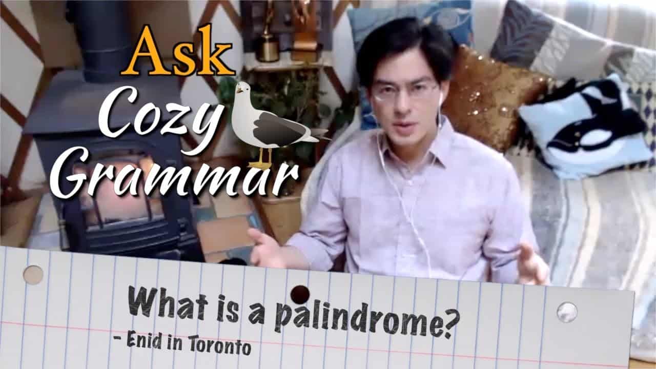 what-is-a-palindrome-ask-cozy-grammar