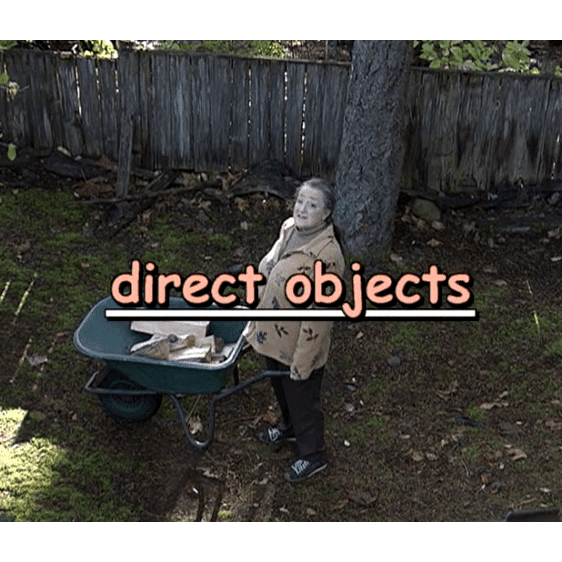 what-is-the-direct-object-of-the-verb-ask-cozy-grammar