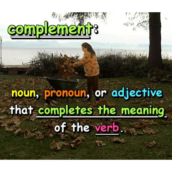 what-is-a-subjective-complement-ask-cozy-grammar